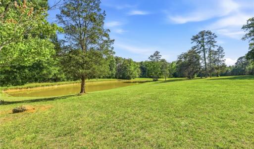 stocked pond