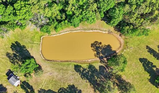 Photo #40 of Bells Grove, Denton, NC 67.6 acres