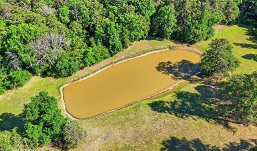 Photo #39 of Bells Grove, Denton, NC 67.6 acres