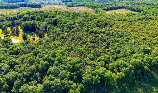 Photo #21 of Bells Grove, Denton, NC 67.6 acres