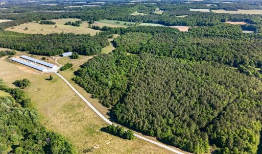 Photo #3 of Burgess Cattle, Ramseur, NC 36.9 acres