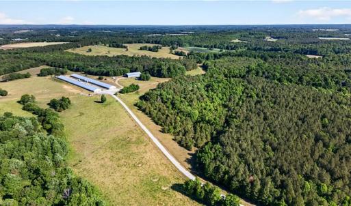 Photo #1 of Burgess Cattle, Ramseur, NC 36.9 acres