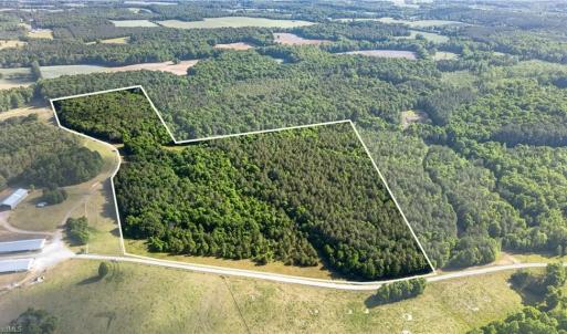 Photo #5 of Burgess Cattle, Ramseur, NC 36.9 acres