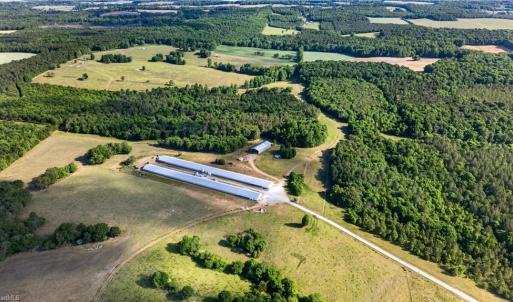 Photo #4 of Burgess Cattle, Ramseur, NC 36.9 acres