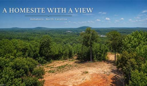 Photo #6 of 808 Neely, Asheboro, NC 53.6 acres
