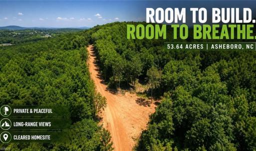 Photo #5 of 808 Neely, Asheboro, NC 53.6 acres