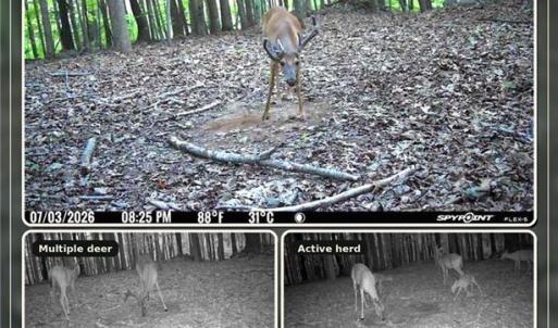 Photo #13 of 808 Neely, Asheboro, NC 53.6 acres