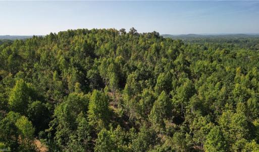 Photo #7 of 808 Neely, Asheboro, NC 53.6 acres