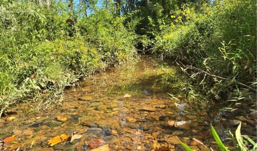 Photo #1 of 808 Neely, Asheboro, NC 53.6 acres