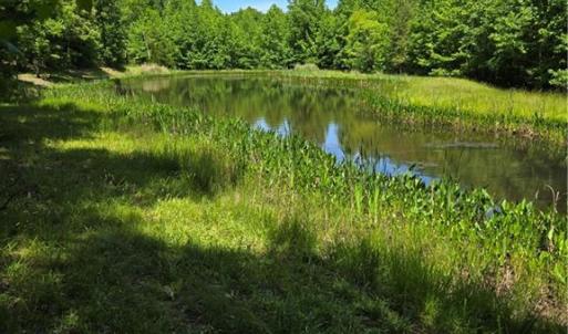 Back of lot with pond view