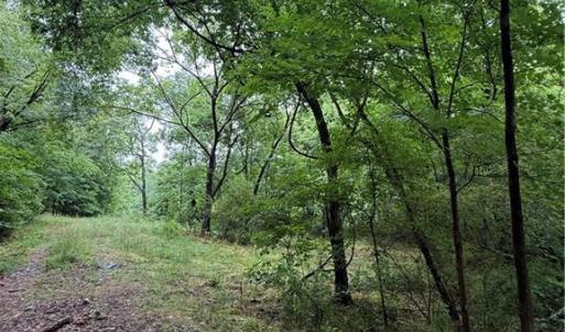 Photo #2 of Pine Ridge, China Grove, NC 5.1 acres