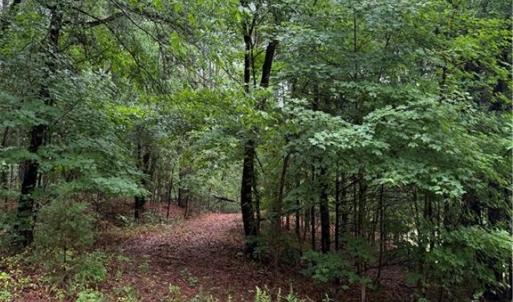 Photo #3 of Pine Ridge, China Grove, NC 5.1 acres