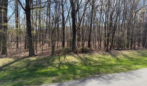 Beautiful wooded tract