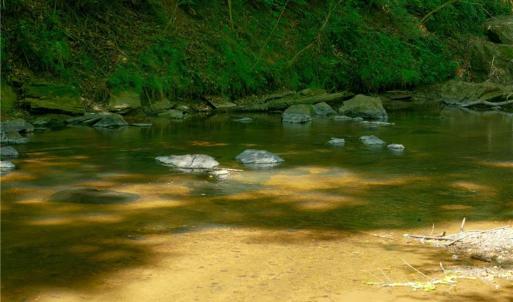 Photo #7 of 11 Roby Fulk, Pinnacle, NC 11.1 acres