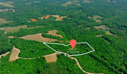 Photo #1 of 11 Roby Fulk, Pinnacle, NC 11.1 acres