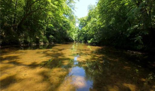 Photo #10 of 11 Roby Fulk, Pinnacle, NC 11.1 acres