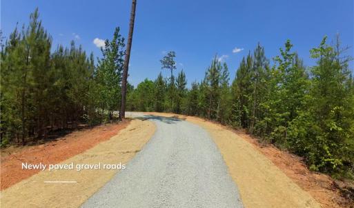 Photo #11 of 11 Roby Fulk, Pinnacle, NC 11.1 acres