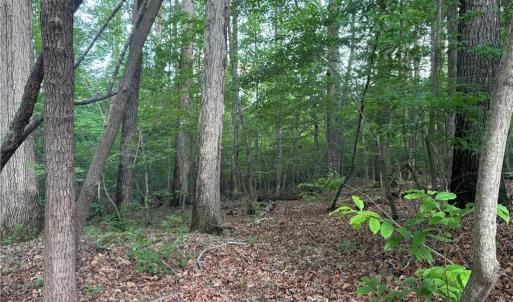 Photo #1 of Tract 2 Dover Church, Seagrove, NC 10.0 acres