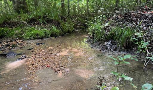 Photo #6 of Tract 5 Dover Church, Seagrove, NC 51.5 acres
