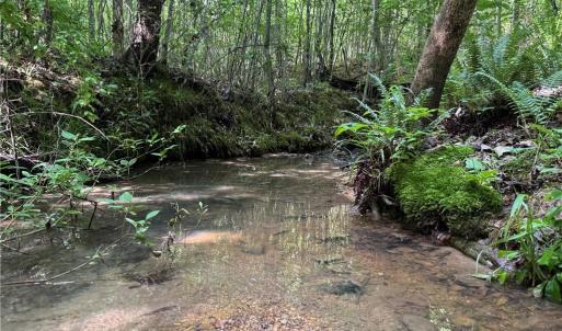 Photo #3 of Tract 5 Dover Church, Seagrove, NC 51.5 acres