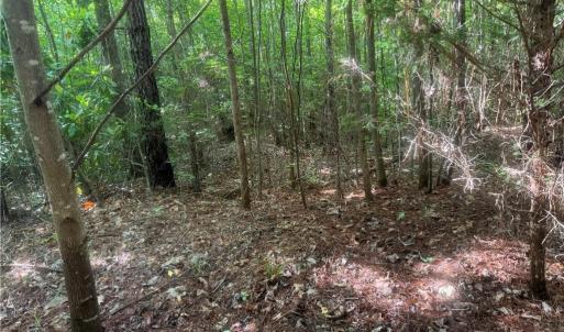 Photo #9 of Tract 5 Dover Church, Seagrove, NC 51.5 acres