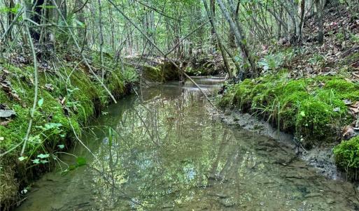 Photo #10 of Tract 5 Dover Church, Seagrove, NC 51.5 acres
