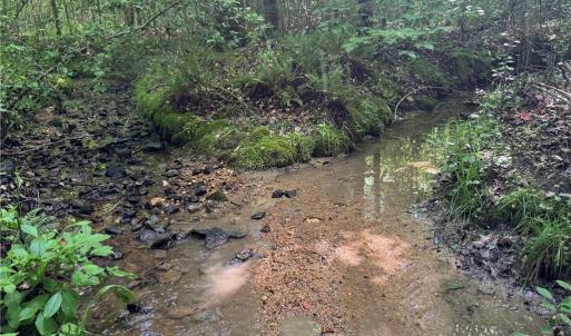 Photo #8 of Tract 5 Dover Church, Seagrove, NC 51.5 acres