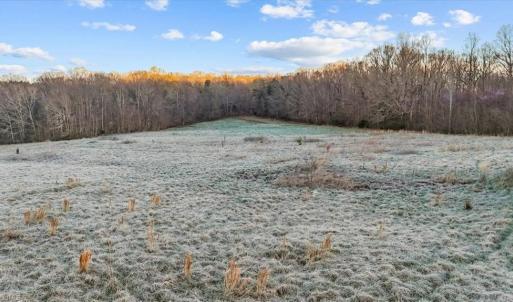 Photo #2 of 2385 Clacie, Liberty, NC 79.4 acres