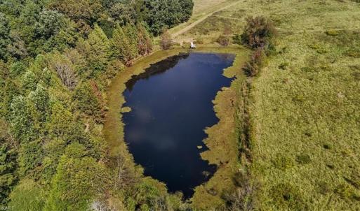 Photo #26 of 2385 Clacie, Liberty, NC 79.4 acres