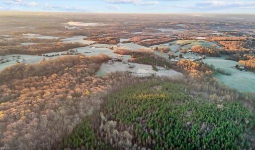 Photo #7 of 2385 Clacie, Liberty, NC 79.4 acres