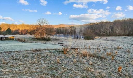 Photo #3 of 2385 Clacie, Liberty, NC 79.4 acres
