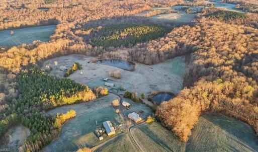 Photo #5 of 2385 Clacie, Liberty, NC 79.4 acres