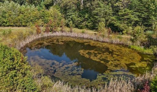 Photo #25 of 2385 Clacie, Liberty, NC 79.4 acres