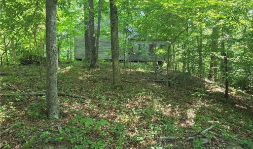 Photo #3 of 1055 Ed Booth, Westfield, NC 1.0 acres