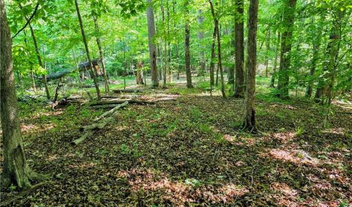 Photo #4 of 1055 Ed Booth, Westfield, NC 1.0 acres