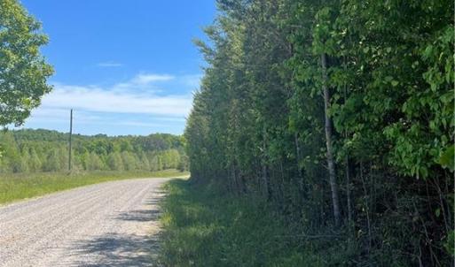 Photo #2 of Palmer, Westfield, NC 12.4 acres