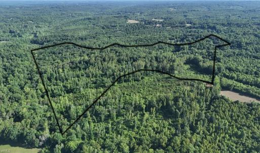 Photo #2 of Nubbin Ridge, Reidsville, NC 60.5 acres