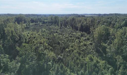 Photo #6 of Nubbin Ridge, Reidsville, NC 60.5 acres