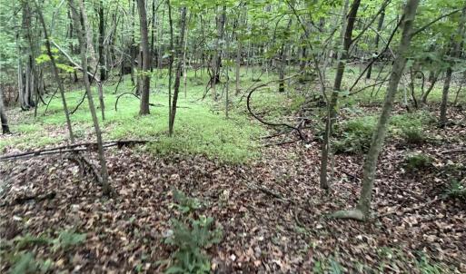 Photo #12 of Nubbin Ridge, Reidsville, NC 60.5 acres