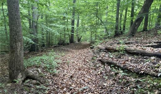 Photo #7 of Nubbin Ridge, Reidsville, NC 60.5 acres
