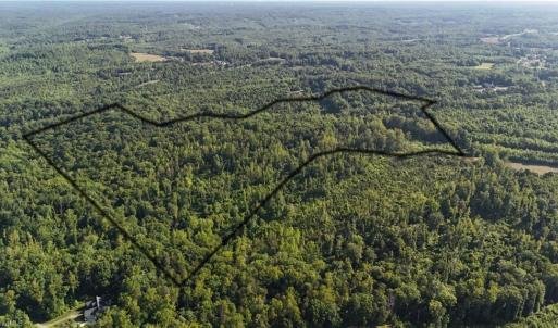 Photo #3 of Nubbin Ridge, Reidsville, NC 60.5 acres
