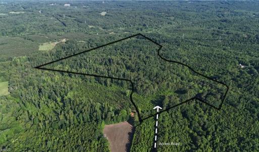 Photo #1 of Nubbin Ridge, Reidsville, NC 60.5 acres