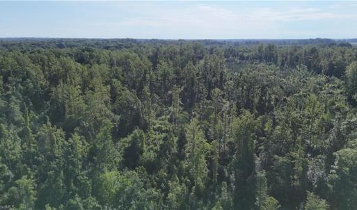 Photo #5 of Nubbin Ridge, Reidsville, NC 60.5 acres