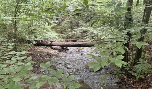 Photo #9 of Nubbin Ridge, Reidsville, NC 60.5 acres