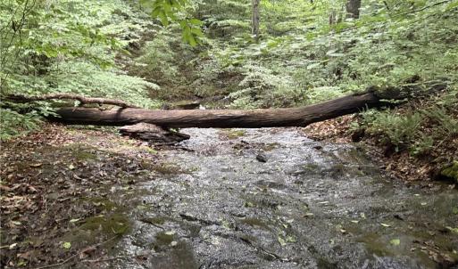 Photo #10 of Nubbin Ridge, Reidsville, NC 60.5 acres