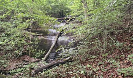 Photo #11 of Nubbin Ridge, Reidsville, NC 60.5 acres