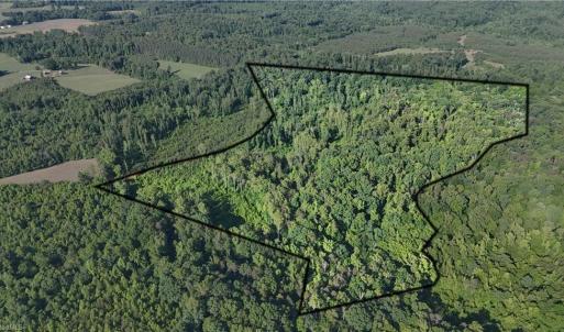 Photo #4 of Nubbin Ridge, Reidsville, NC 60.5 acres