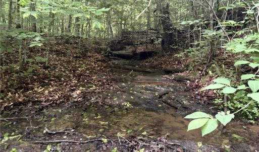 Photo #8 of Nubbin Ridge, Reidsville, NC 60.5 acres