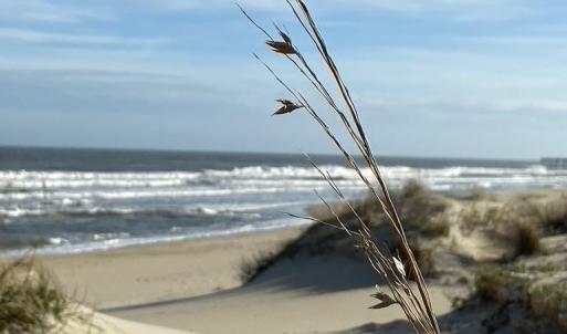 Photo #7 of 23270 Midgetts Mobile Court, Rodanthe, NC 1.6 acres