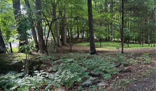 Photo #3 of 610 Brown, Randleman, NC 1.0 acres
